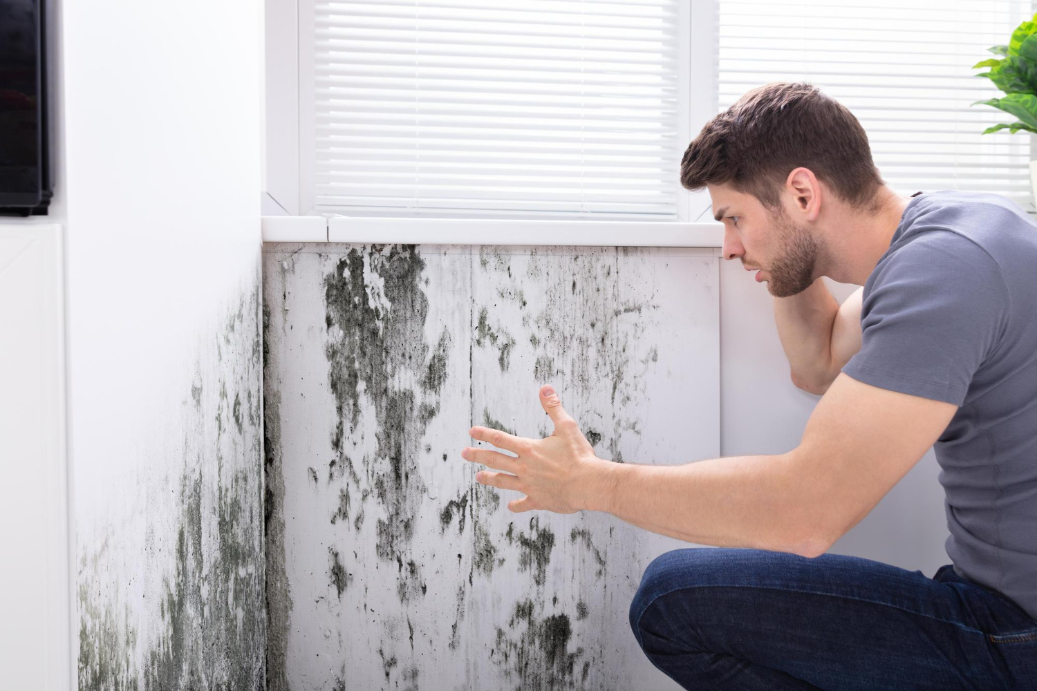 How to Check Your Home for Mold: A Comprehensive Guide