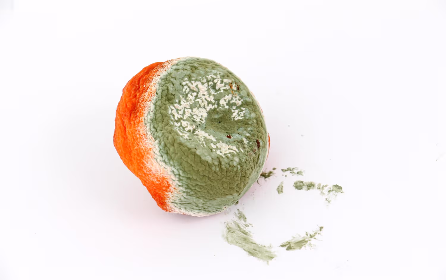 Why Does My Produce Produce Mold?