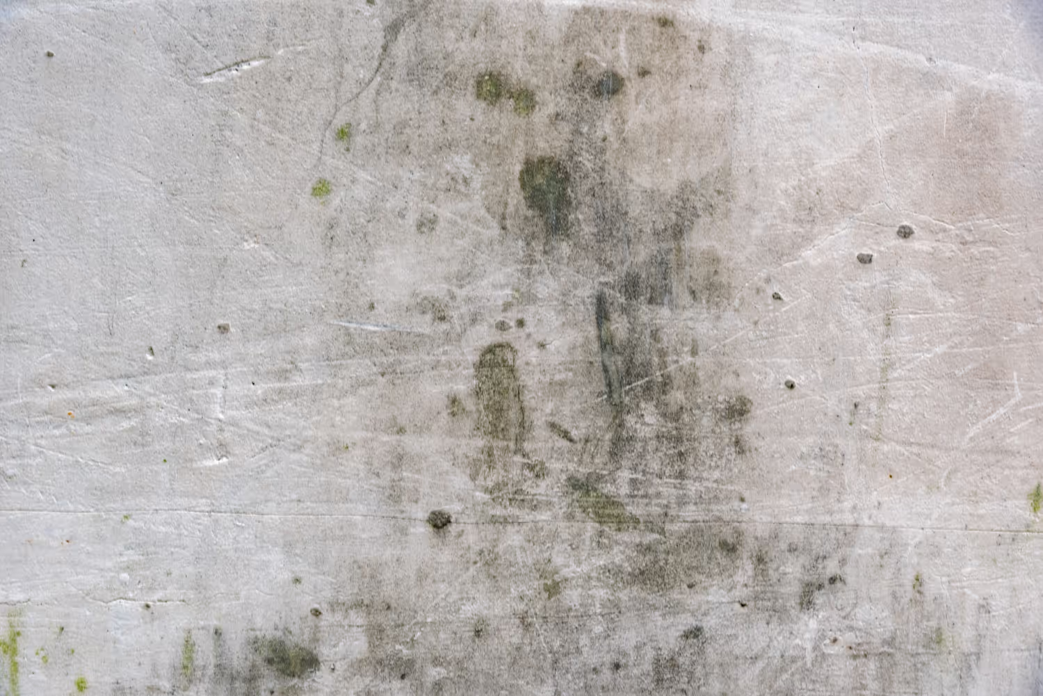 The Dead Mold Myth